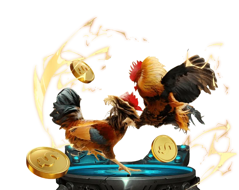 Dịch vụ khách hàng hit 2